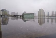 梦见雨水淋湿花草好不好 梦见雨水淋湿花草意味着什么 