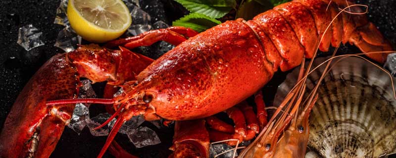 龍蝦1.jpg