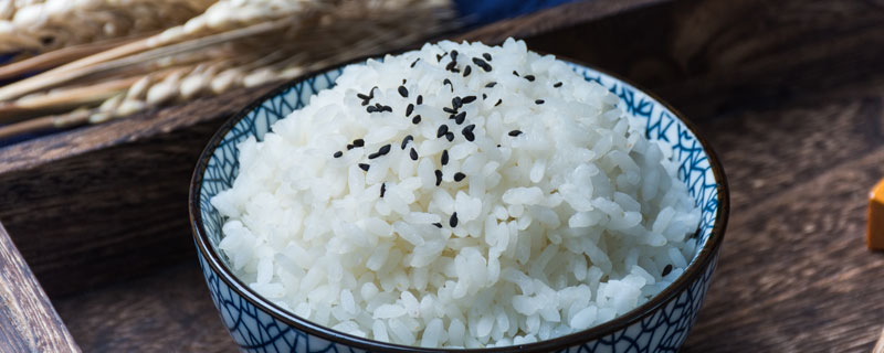 米饭1.jpg