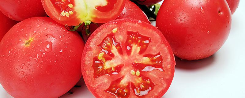 刚买回来的没熟透的西红柿怎么储存比较好 没熟透的西红柿最佳保存方法