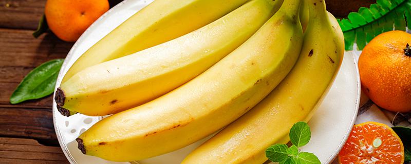 香蕉为什么被称为快乐水果 香蕉被叫快乐水果的原因