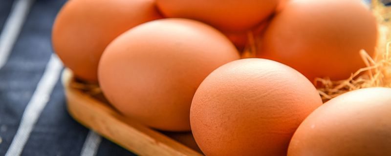 鸡蛋蛋白质高吗 什么食物蛋白质含量高