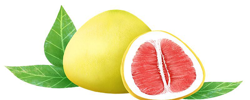 柚子皮能吸收甲醛吗 柚子皮可以去除甲醛吗