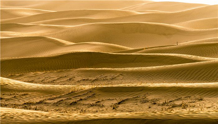 沙漠的沙子怎么来的 沙漠中的沙子是从何而来