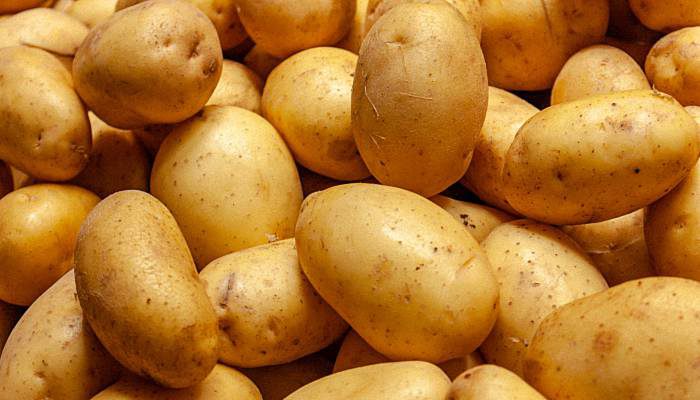 土豆可以放冰箱保存吗 土豆能放进冰箱保存吗