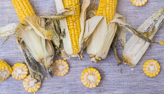 立秋时节花粒期的玉米管理需要注意什么？