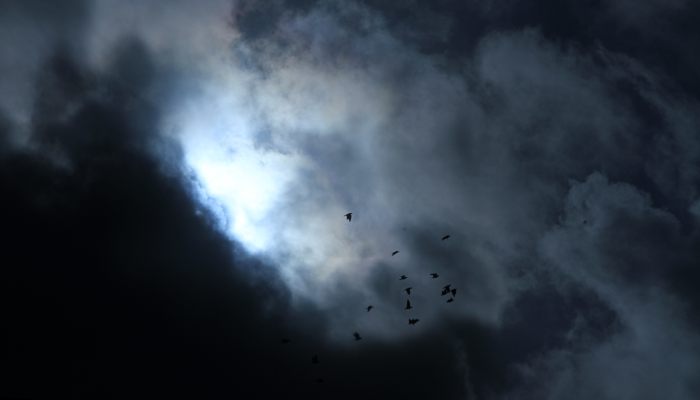 炮台云预示什么天气 炮台云预兆着哪种天气