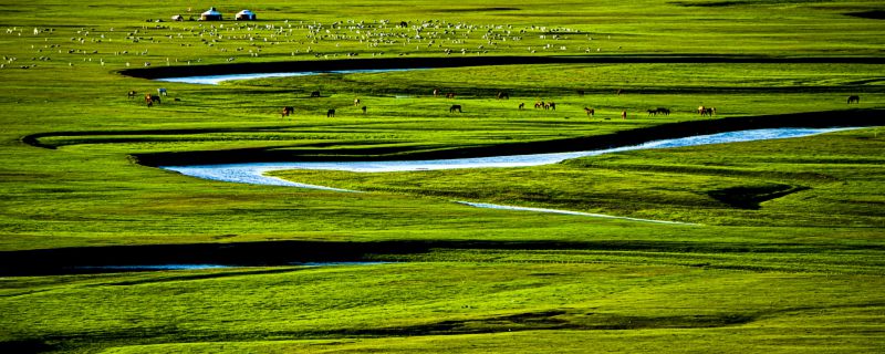中国最大的草原 中国第一大草原