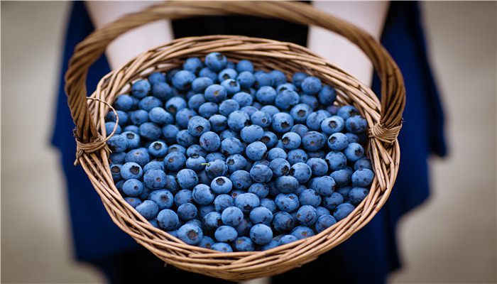 蓝莓几月份成熟上市 蓝莓是几月上市