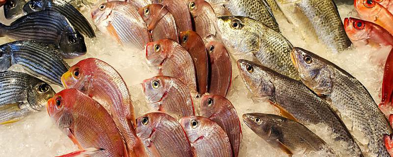 赤潮海鲜能吃吗 赤潮发生海鲜可以吃吗