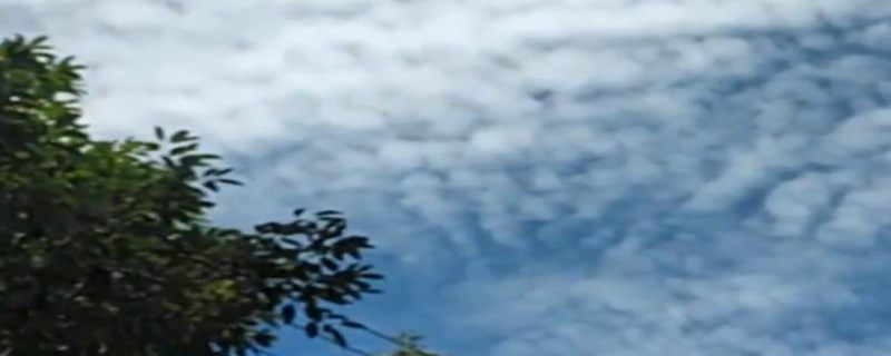 鱼鳞云的形成原因 天空为什么出现鱼鳞云