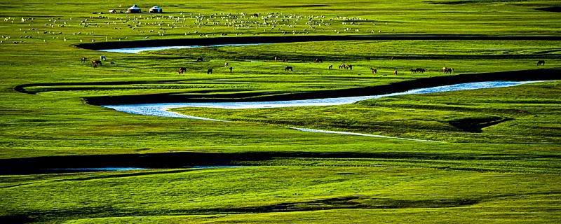 呼伦贝尔大草原几月份去最美 呼伦贝尔大草原是几月去风景最美