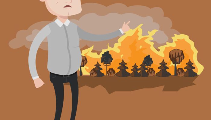 森林火灾会造成什么严重的后果 森林火灾会引起什么巨大的危害