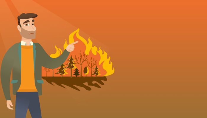 森林火灾的危害有哪些 森林火灾的影响是什么