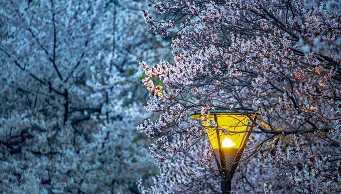 北京冬天什么時候天黑 北京冬季在什么時間天黑