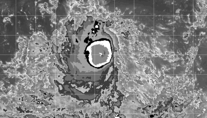 15号台风路径实时发布系统卫星云图 “塔拉斯”胚胎云图发展实况