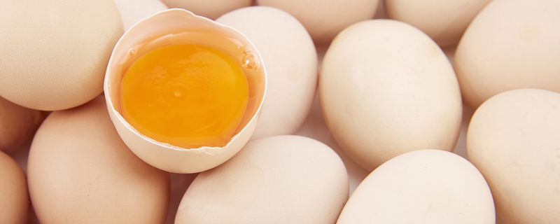 鸡蛋蛋白质含量多少 鸡蛋的家常做法