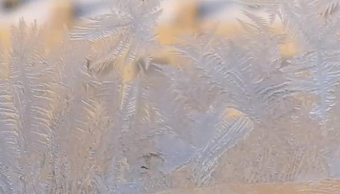 冰窗花是怎么形成的 冰窗花是如何产生的