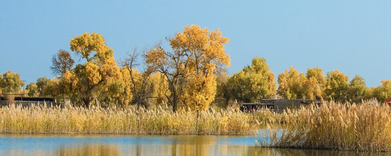 雍州是现在的哪个市 雍州是如今的什么城市
