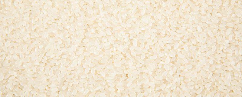 比较好吃的大米有哪些 好吃的大米是哪几种
