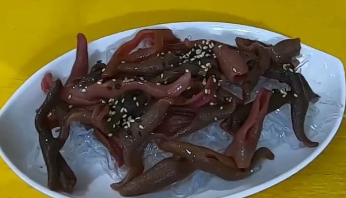 海肠子和沙虫的区别 海肠子与沙虫的不同