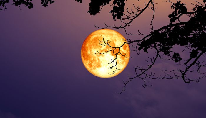 血月亮预示着什么 血月亮征兆着什么