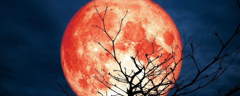 血月亮预示着什么 血月亮征兆着什么