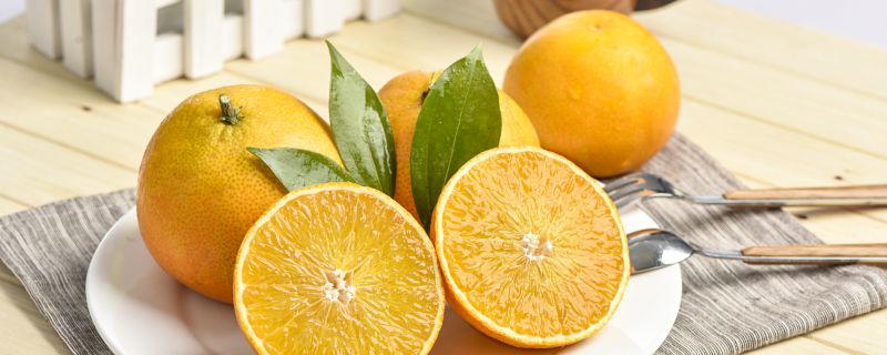 橙子和橘子的区别 橙子与橘子的不同