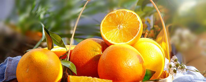 橙子放盐蒸的功效与作用 橙子有名的品种有哪些