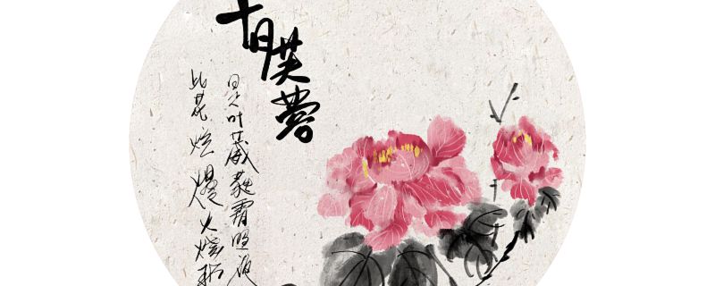 芙蓉是什么花 芙蓉属于哪种花