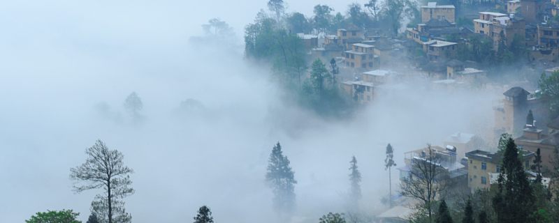 重庆一年有多少天有雾 重庆雾天有影响吗