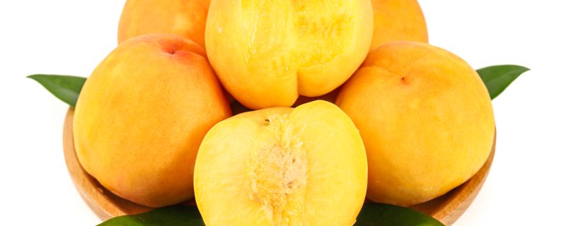 黄桃是桃子吗 桃子种类有哪些