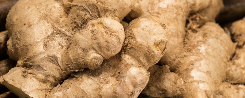 生姜是什么时候传入中国的 生姜的生长环境