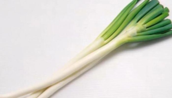 葱白水最正确的做法 葱白的保存方法