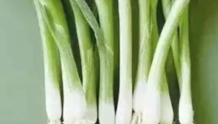 葱白是大葱还是小葱 葱白的食疗方法