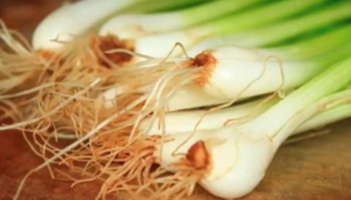 葱白生姜水的正确做法 葱白和什么一起煮治咳嗽