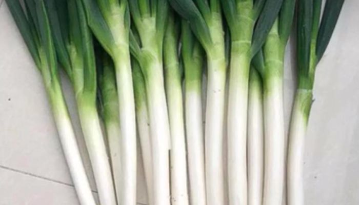 葱白水最正确的做法 葱白的保存方法