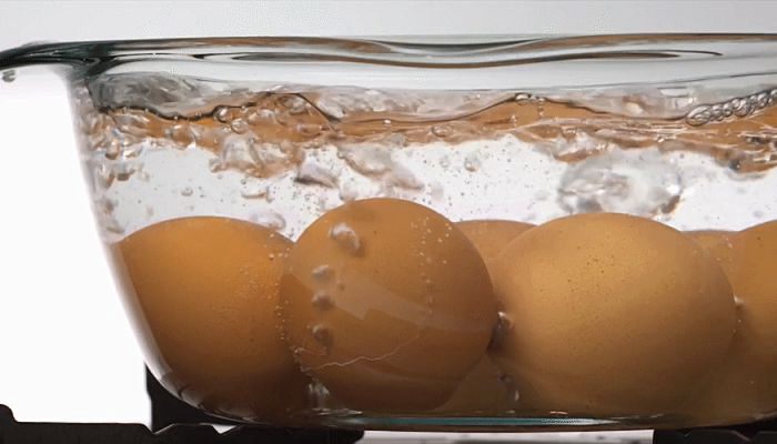 鸡蛋蛋白质对人体的作用 鸡蛋不能和什么食物一起吃