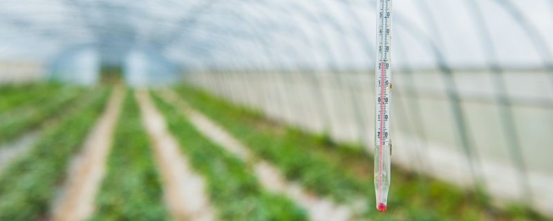 水银体温计量多久 发烧后怎么办