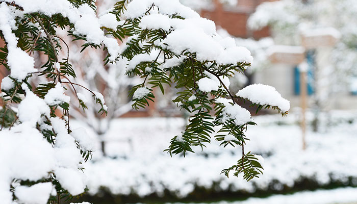 苏州今日天气阴转多云最高气温7~8℃ 明天至后天苏州天气总体较好
