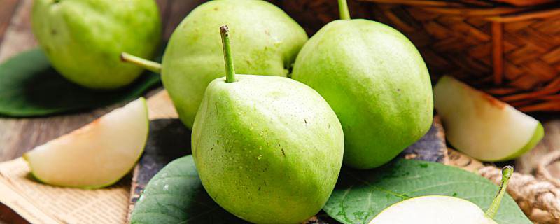 雪梨和普通的梨有什么区别 梨的品种有哪些