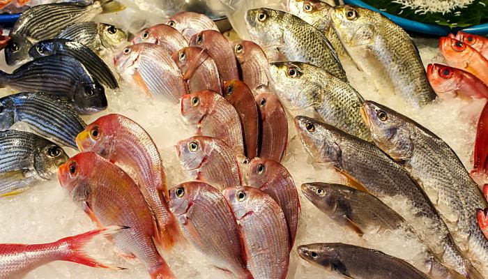 海鲜怎么带上高铁 海鲜的保存方法