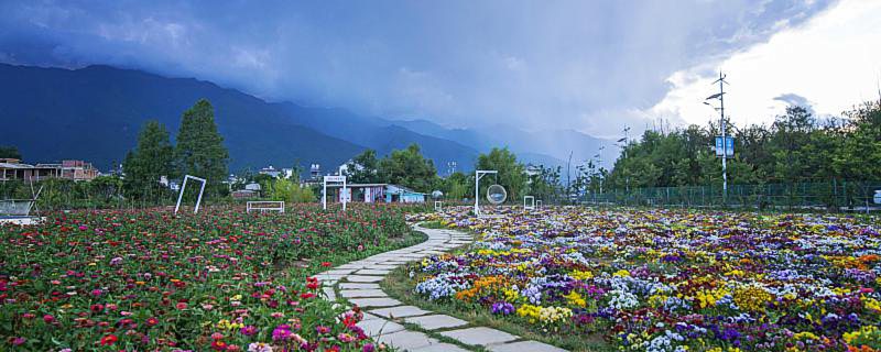 百花盛开是什么季节 什么季节开什么花