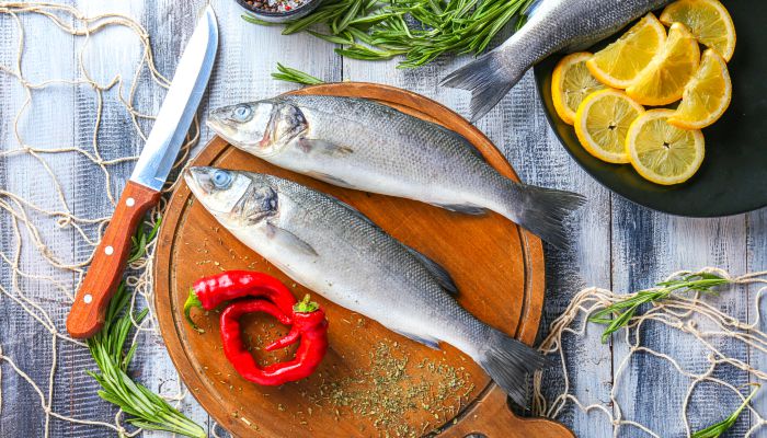 海鲈鱼是什么鱼 海鲈鱼的生活习性是什么