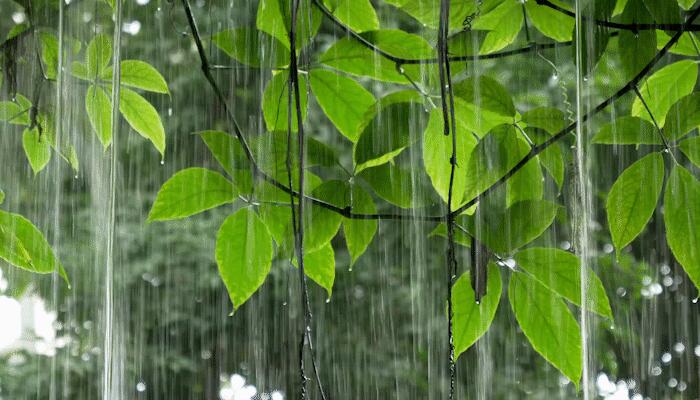 5月20日國外天氣預報：印度西南部和東北又強降雨