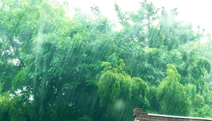 “暹芭”残余北上影响湖南 长沙岳阳等将有大到暴雨