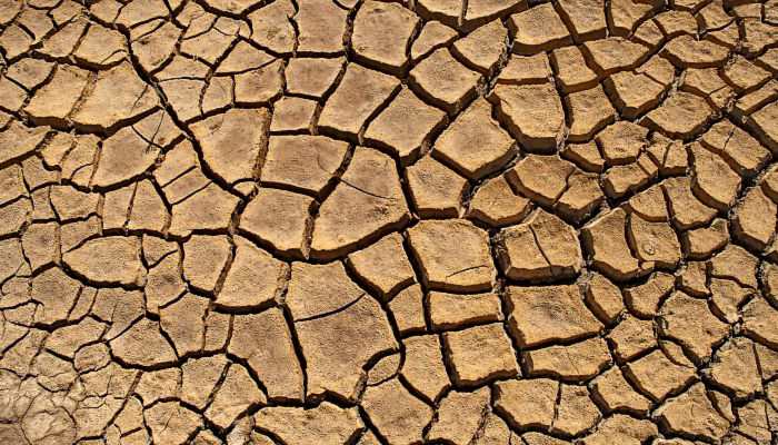 因降水不足等非洲之角旱情恶化 今年或有2000万人面临饥饿危机