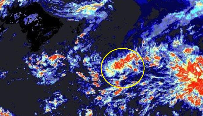 1号台风马勒卡最新消息云图情况 2022年一号台风清晰卫星云图（持续更新）