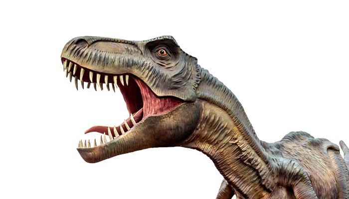 院士称恐龙没有完全灭绝 这种动物竟然是恐龙的后裔