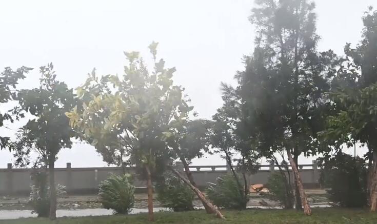 16级登陆台风有多强 实拍登陆前后晋江实时风雨现场